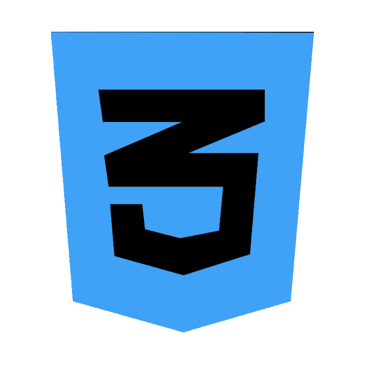 CSS Logo